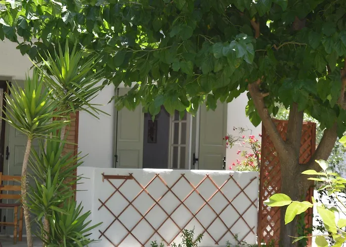 Anna George Studios
