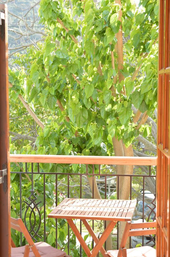 Apartment Anna George